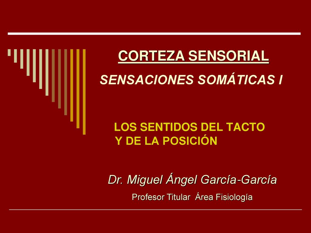 SENSACIONES SOMÁTICAS I LOS SENTIDOS DEL TACTO Y DE LA POSICIÓN
