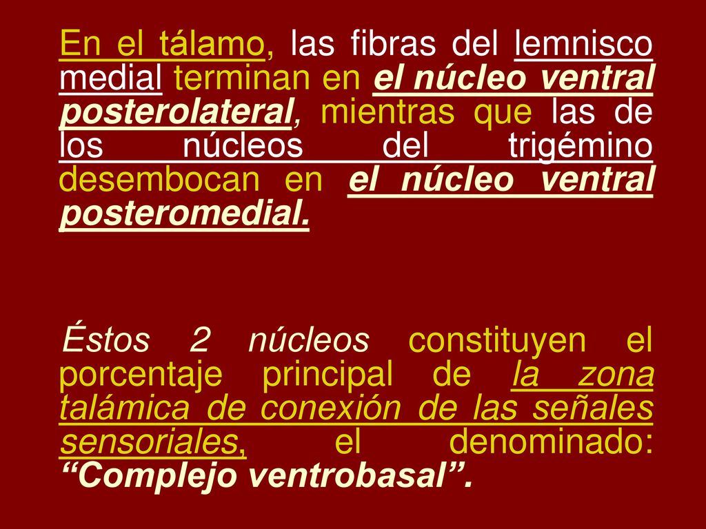 En el tálamo, las fibras del lemnisco medial terminan en el núcleo ventral posterolateral, mientras que las de los núcleos del trigémino desembocan en el núcleo ventral posteromedial.