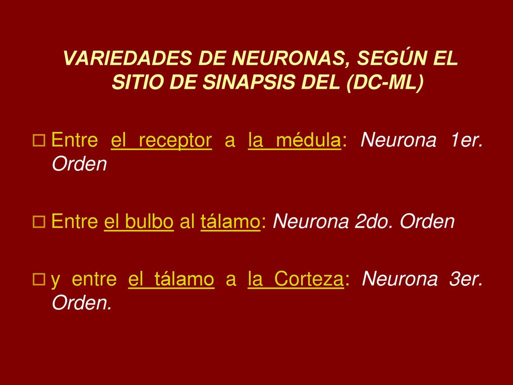 VARIEDADES DE NEURONAS, SEGÚN EL SITIO DE SINAPSIS DEL (DC-ML)