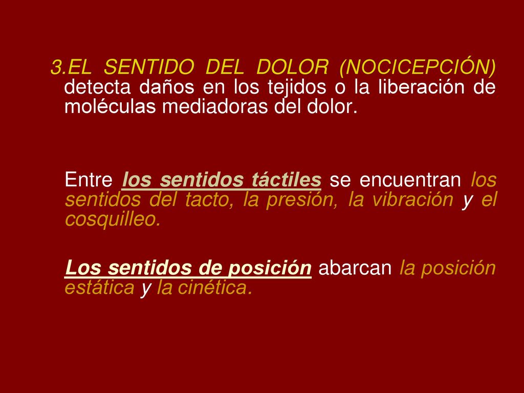 Los sentidos de posición abarcan la posición estática y la cinética.