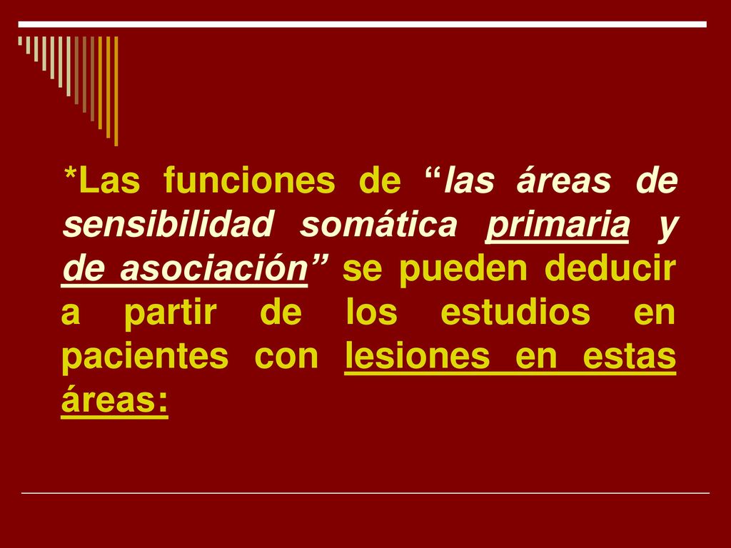 *Las funciones de las áreas de sensibilidad somática primaria y de asociación se pueden deducir a partir de los estudios en pacientes con lesiones en estas áreas:
