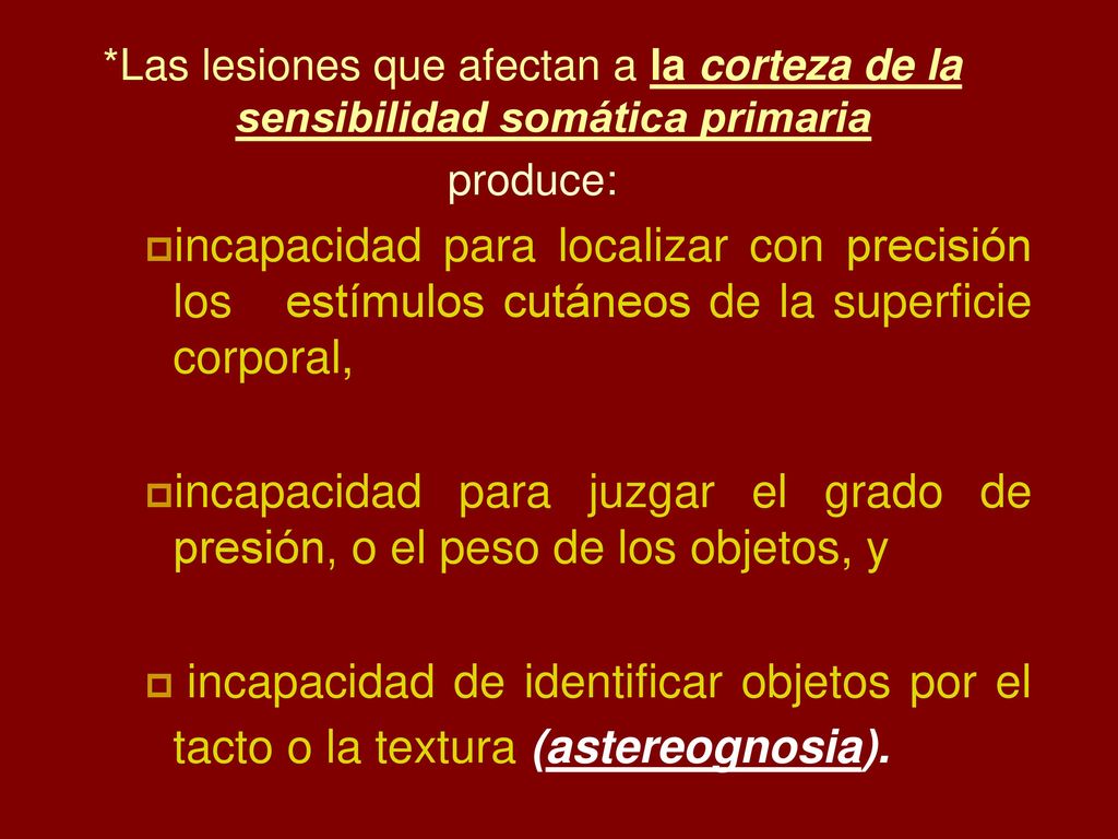 *Las lesiones que afectan a la corteza de la sensibilidad somática primaria