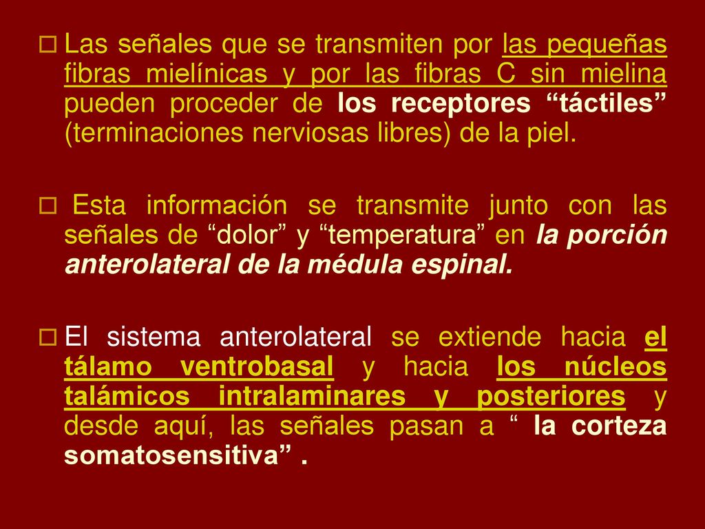 Las señales que se transmiten por las pequeñas fibras mielínicas y por las fibras C sin mielina pueden proceder de los receptores táctiles (terminaciones nerviosas libres) de la piel.