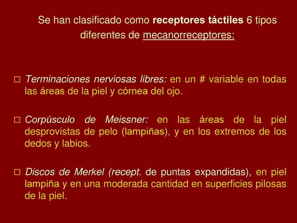 Se han clasificado como receptores táctiles 6 tipos