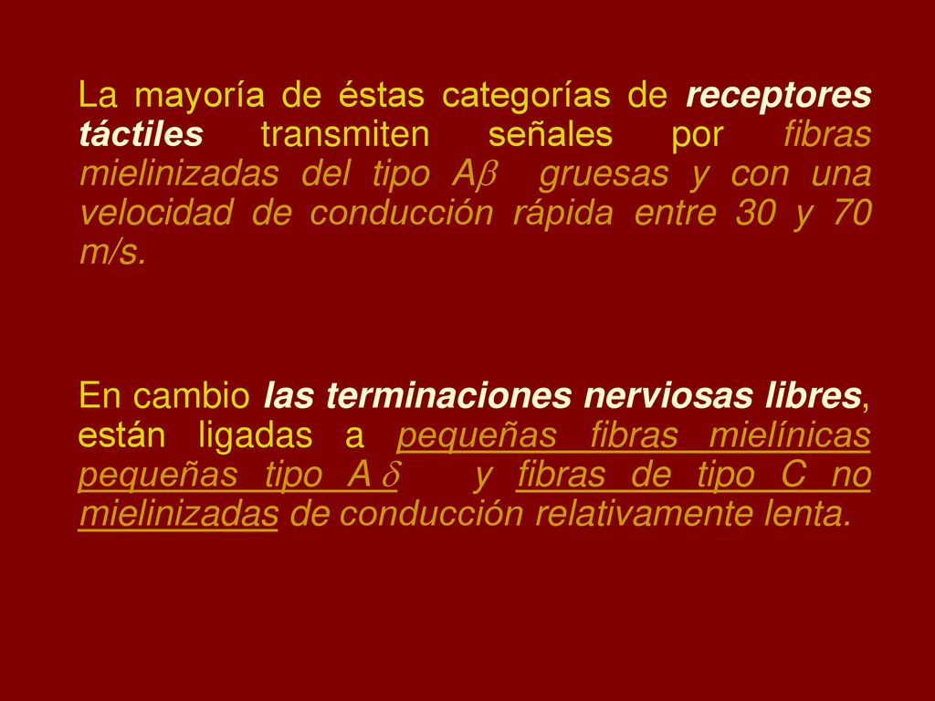 La mayoría de éstas categorías de receptores táctiles transmiten señales por fibras mielinizadas del tipo A gruesas y con una velocidad de conducción rápida entre 30 y 70 m/s.