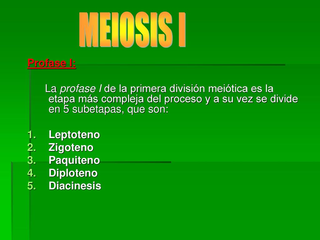 MEIOSIS I Profase I: La profase I de la primera división meiótica es la etapa más compleja del proceso y a su vez se divide en 5 subetapas, que son: