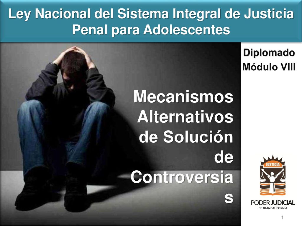 Ley Nacional del Sistema Integral de Justicia Penal para Adolescentes