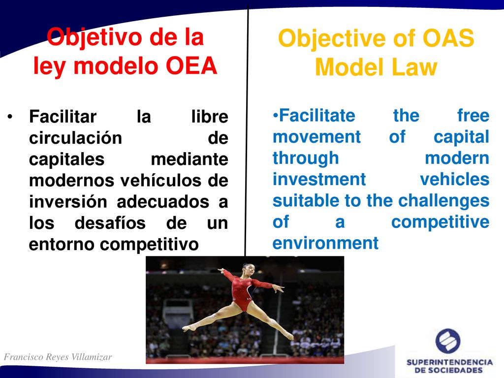 Objetivo de la ley modelo OEA Objective of OAS Model Law
