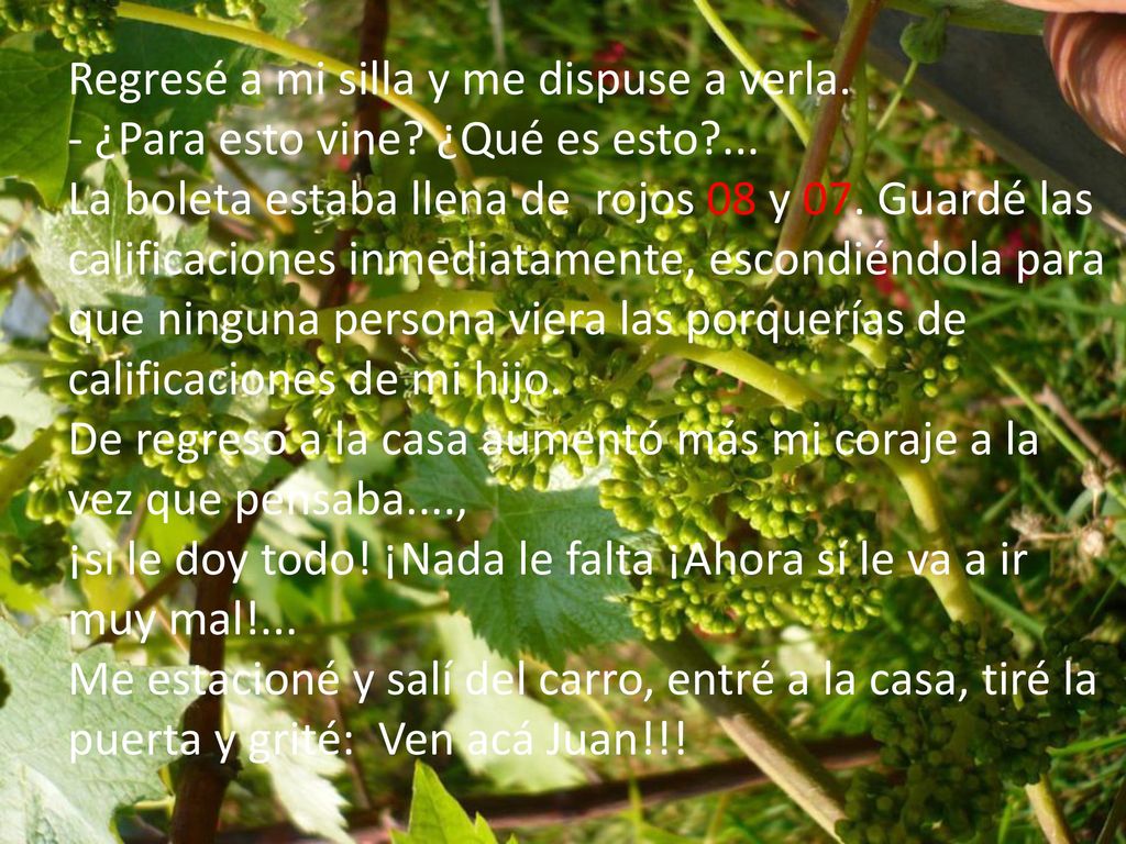 Regresé a mi silla y me dispuse a verla. - ¿Para esto vine