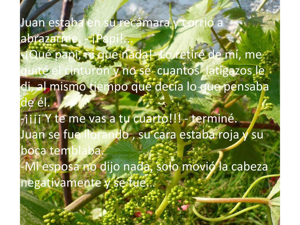 Juan estaba en su recámara y corrió a abrazarme. - ¡Papi!...