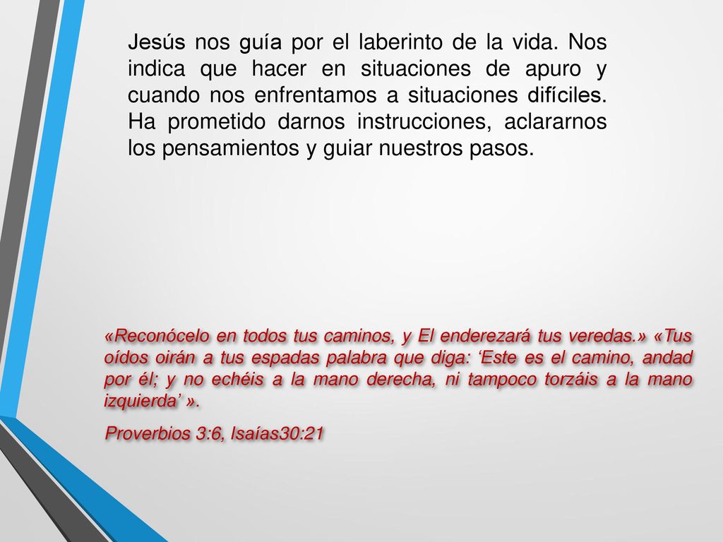Jesús nos guía por el laberinto de la vida