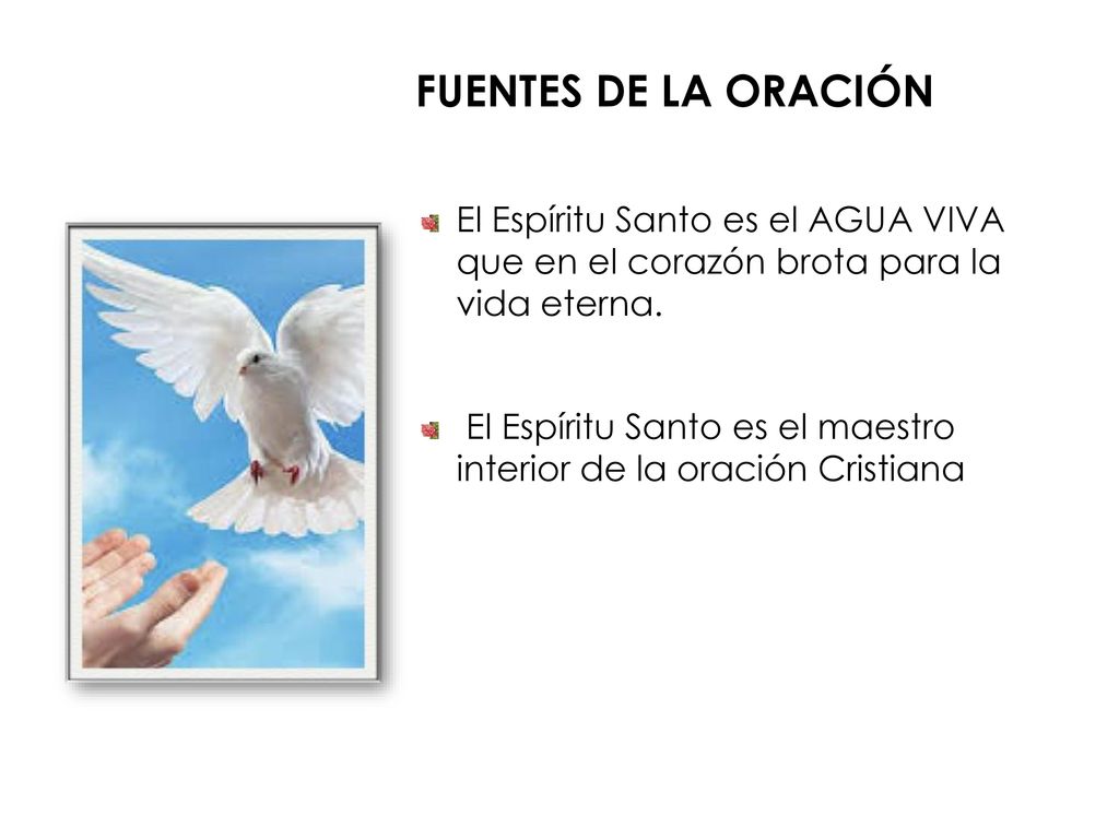 Fuentes de la oración El Espíritu Santo es el AGUA VIVA que en el corazón brota para la vida eterna.