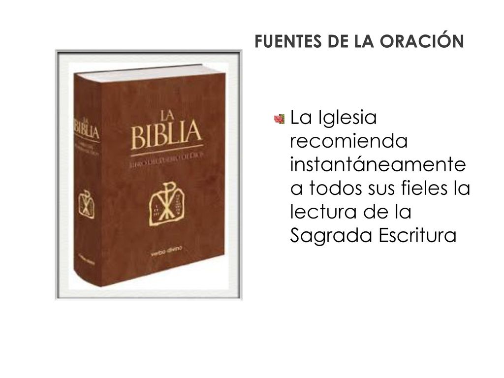 FUENTES DE LA ORACIÓN La Iglesia recomienda instantáneamente a todos sus fieles la lectura de la Sagrada Escritura.