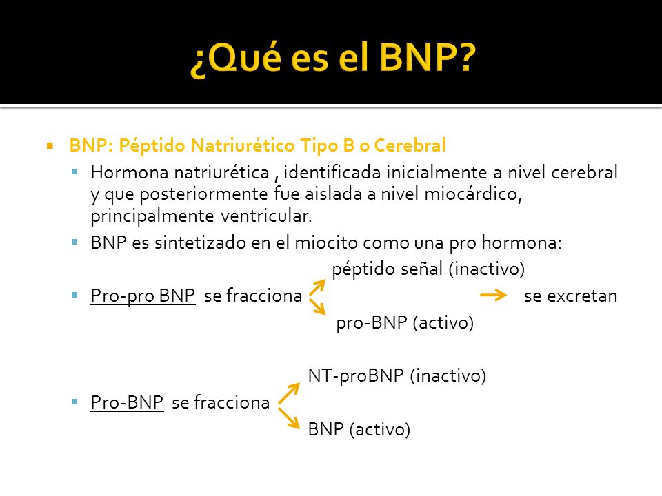 ¿Qué es el BNP BNP: Péptido Natriurético Tipo B o Cerebral