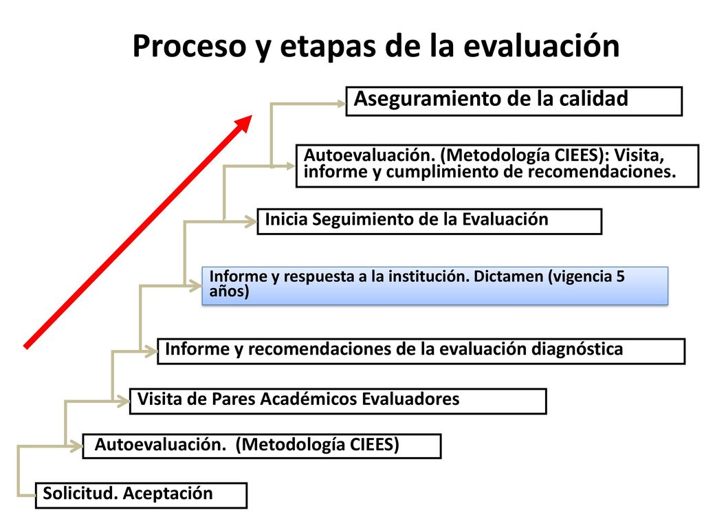 Proceso y etapas de la evaluación
