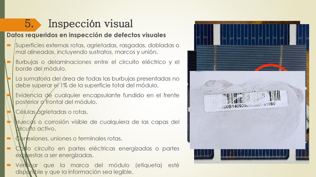 5. Inspección visual Datos requeridos en inspección de defectos visuales.