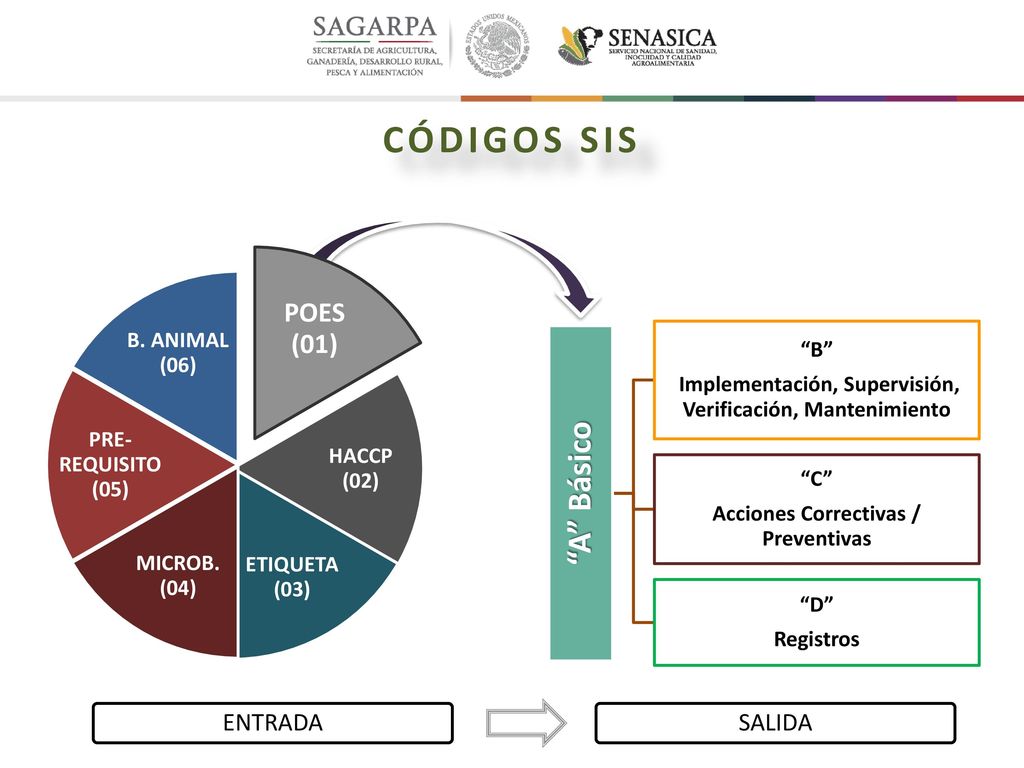 CÓDIGOS SIS A Básico POES (01) ENTRADA SALIDA HACCP (02)
