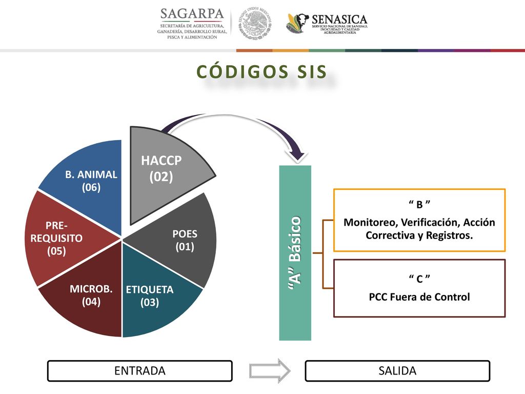 Monitoreo, Verificación, Acción Correctiva y Registros.