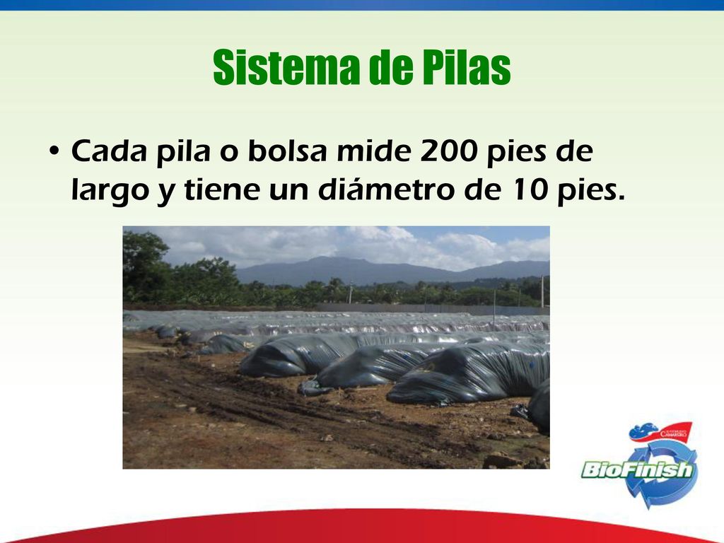 Sistema de Pilas Cada pila o bolsa mide 200 pies de largo y tiene un diámetro de 10 pies.