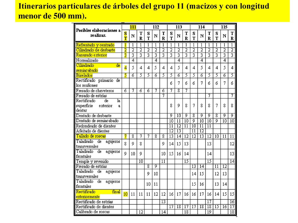 Itinerarios particulares de árboles del grupo 11 (macizos y con longitud menor de 500 mm).