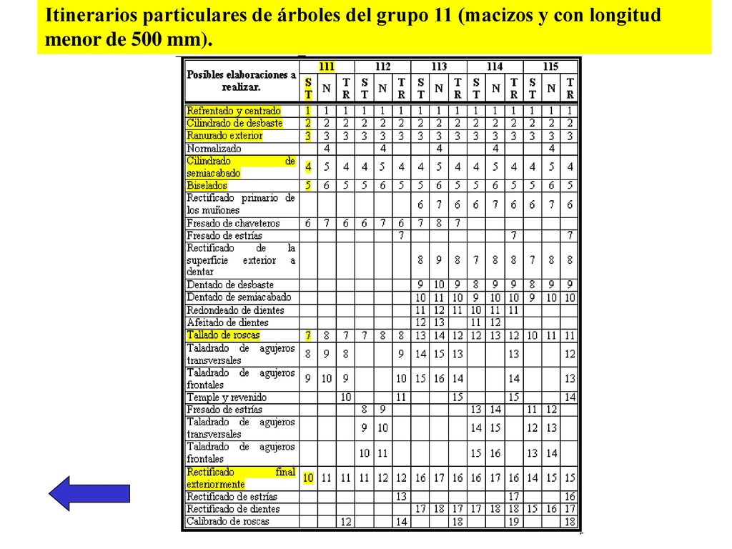 Itinerarios particulares de árboles del grupo 11 (macizos y con longitud menor de 500 mm).