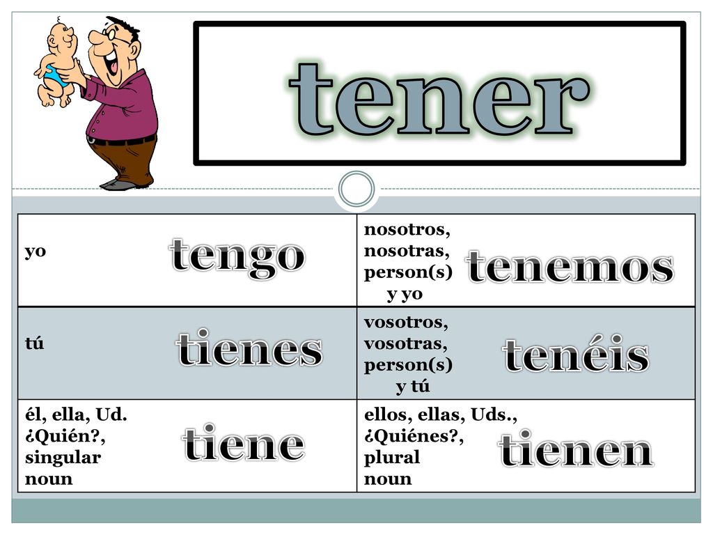 tener to have tengo tenemos tienes tenéis tiene tienen yo nosotros,