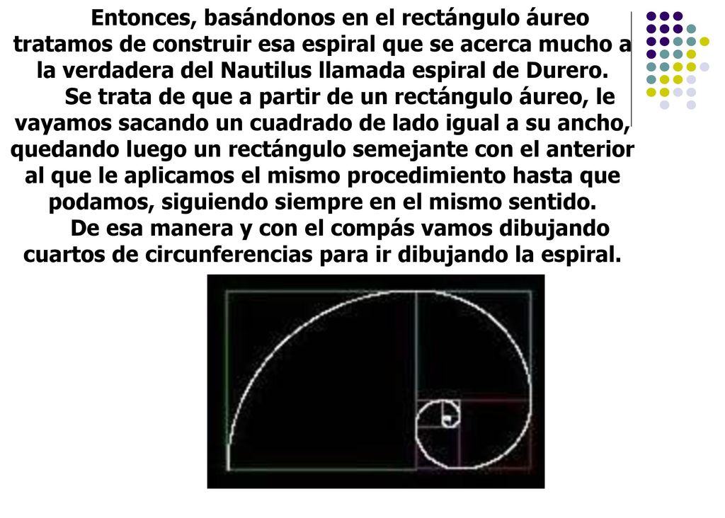 Entonces, basándonos en el rectángulo áureo tratamos de construir esa espiral que se acerca mucho a la verdadera del Nautilus llamada espiral de Durero.