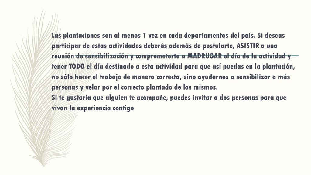 Las plantaciones son al menos 1 vez en cada departamentos del país