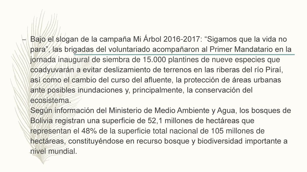 Bajo el slogan de la campaña Mi Árbol : Sigamos que la vida no para , las brigadas del voluntariado acompañaron al Primer Mandatario en la jornada inaugural de siembra de plantines de nueve especies que coadyuvarán a evitar deslizamiento de terrenos en las riberas del río Piraí, así como el cambio del curso del afluente, la protección de áreas urbanas ante posibles inundaciones y, principalmente, la conservación del ecosistema.
