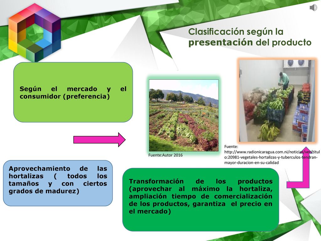 Clasificación según la presentación del producto