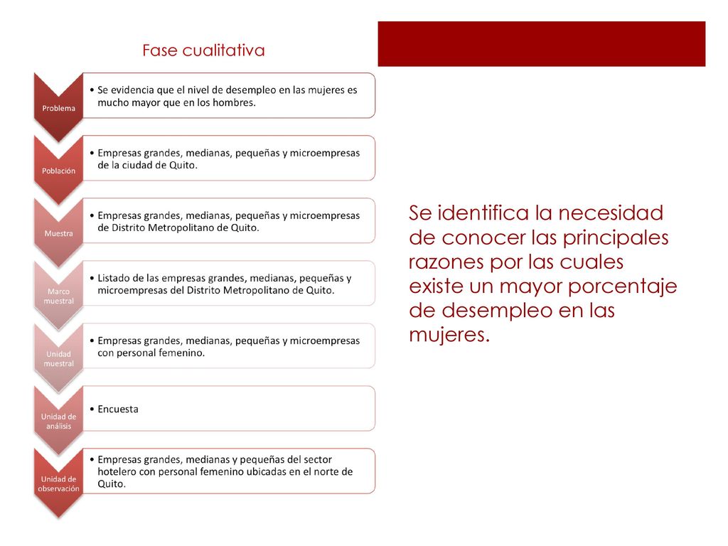 Fase cualitativa Se identifica la necesidad de conocer las principales razones por las cuales existe un mayor porcentaje de desempleo en las mujeres.