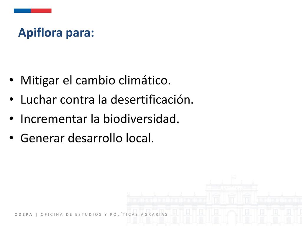 Apiflora para: Mitigar el cambio climático. Luchar contra la desertificación. Incrementar la biodiversidad.