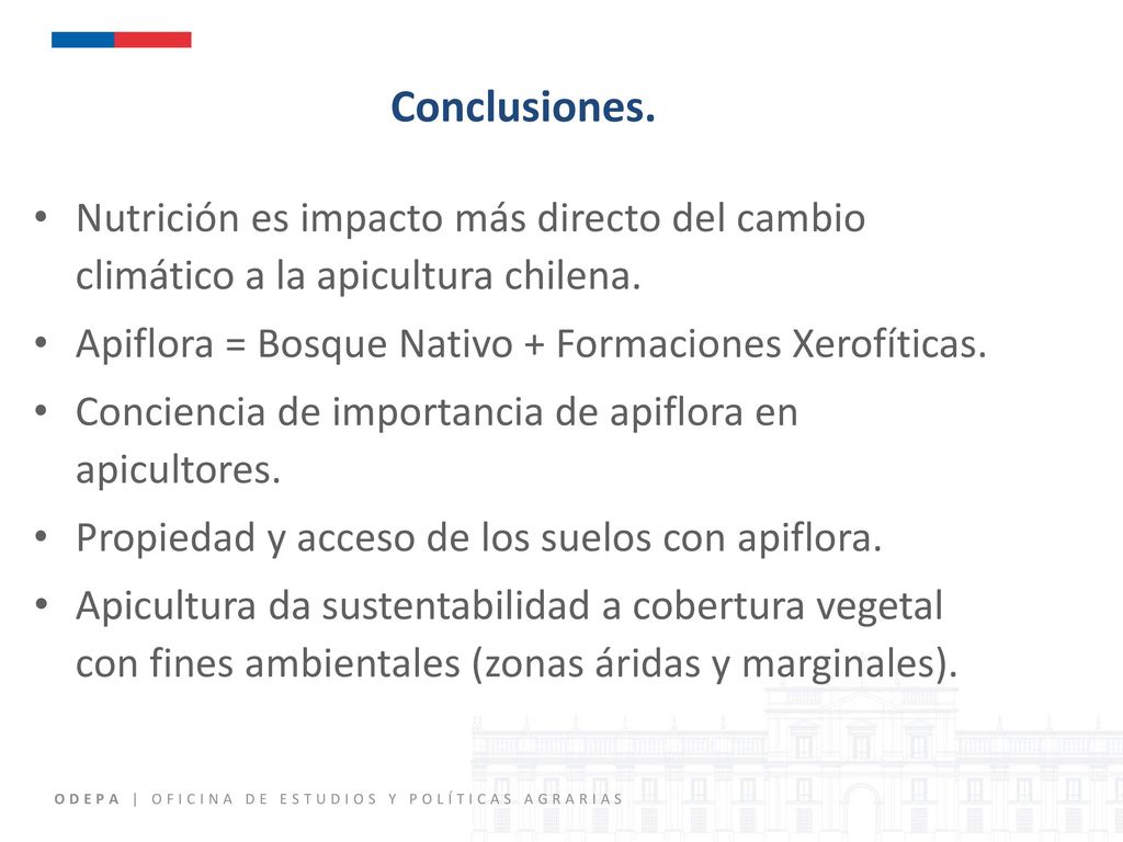 Conclusiones. Nutrición es impacto más directo del cambio climático a la apicultura chilena. Apiflora = Bosque Nativo + Formaciones Xerofíticas.