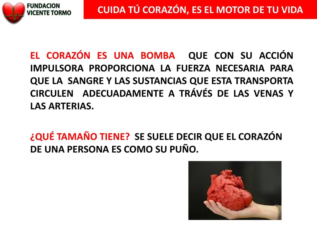 CUIDA TÚ CORAZÓN, ES EL MOTOR DE TU VIDA