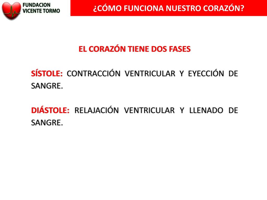 ¿CÓMO FUNCIONA NUESTRO CORAZÓN EL CORAZÓN TIENE DOS FASES