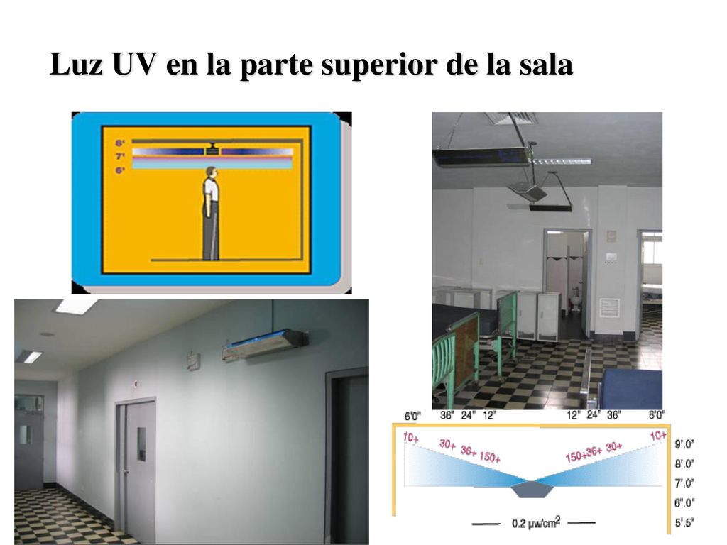 Luz UV en la parte superior de la sala