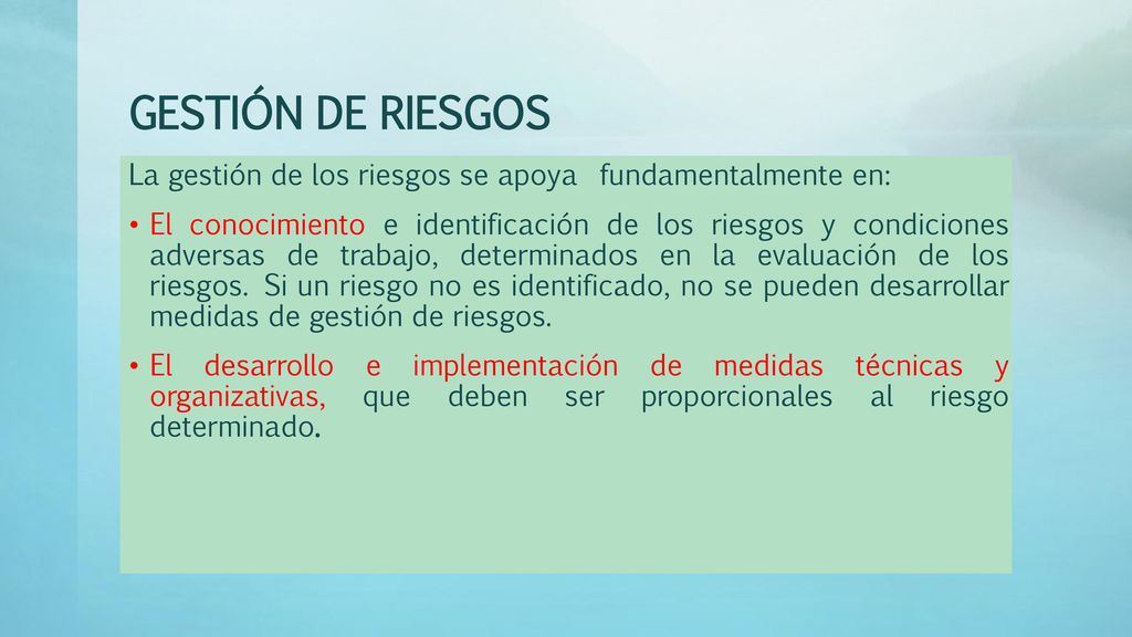 GESTIÓN DE RIESGOS La gestión de los riesgos se apoya fundamentalmente en: