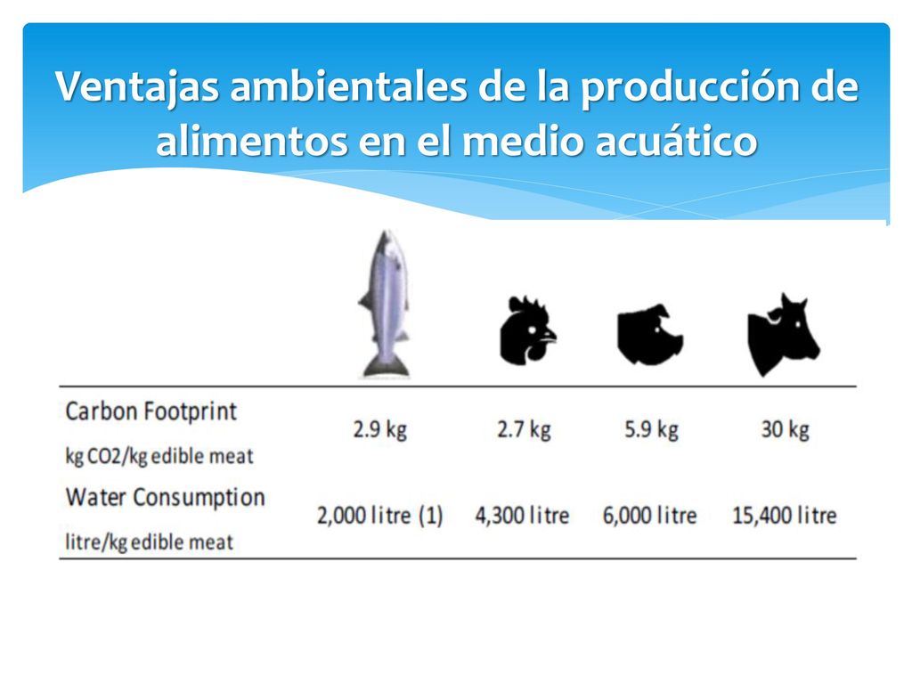 Ventajas ambientales de la producción de alimentos en el medio acuático