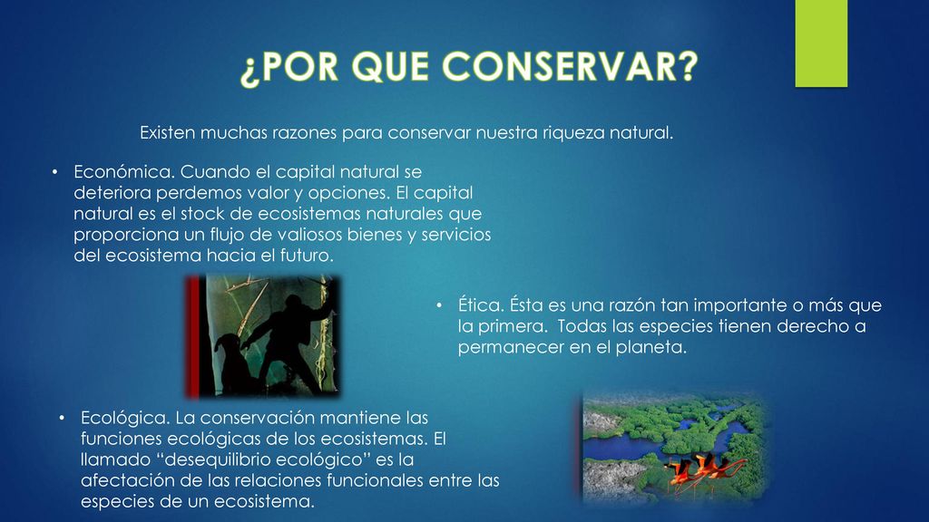 ¿POR QUE CONSERVAR Existen muchas razones para conservar nuestra riqueza natural.
