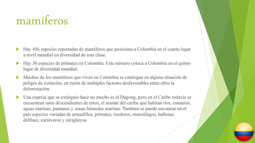 mamíferos Hay 456 especies reportadas de mamíferos que posiciona a Colombia en el cuarto lugar a nivel mundial en diversidad de esta clase.