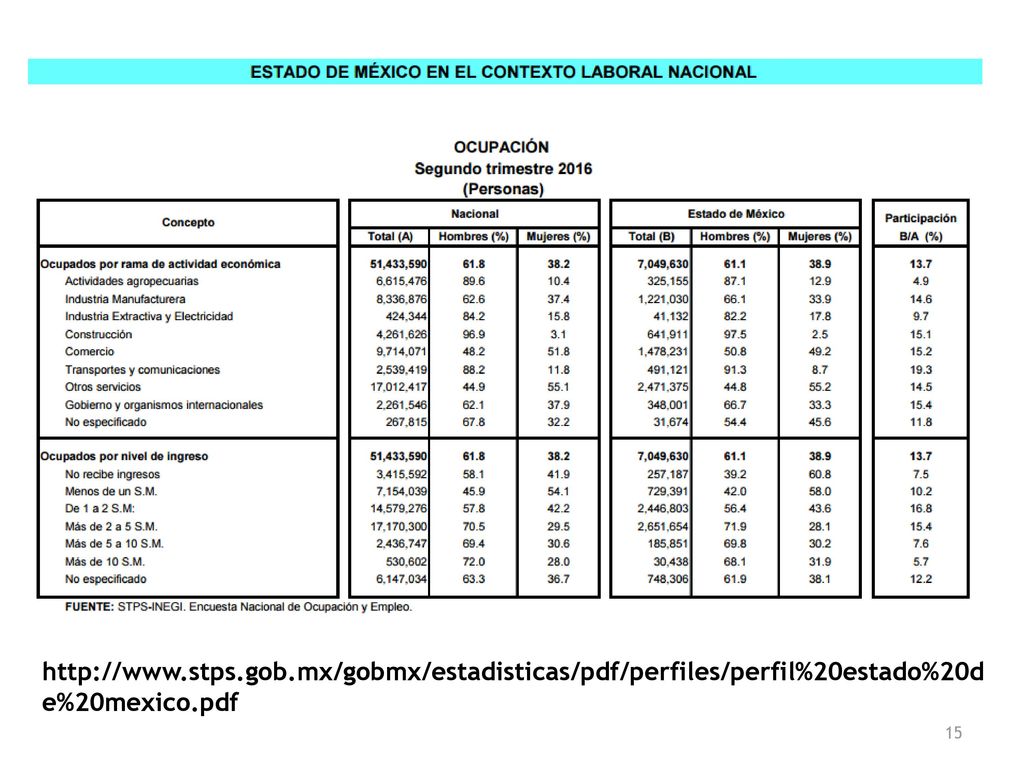 Se analiza la participación por actividad económica en el Estado de México