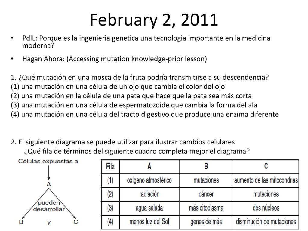 February 2, 2011 PdlL: Porque es la ingenieria genetica una tecnologia importante en la medicina moderna