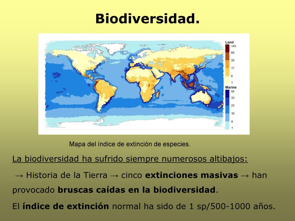 Biodiversidad. Mapa del índice de extinción de especies. La biodiversidad ha sufrido siempre numerosos altibajos: