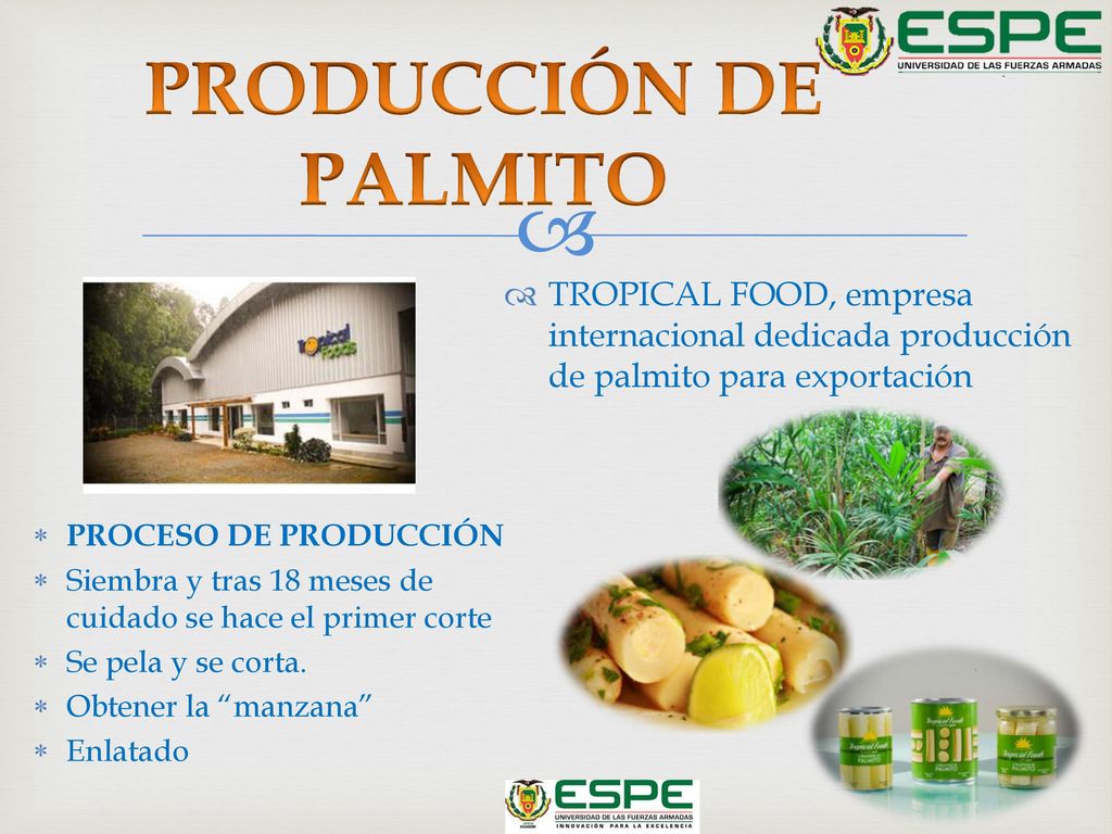 PRODUCCIÓN DE PALMITO TROPICAL FOOD, empresa internacional dedicada producción de palmito para exportación.