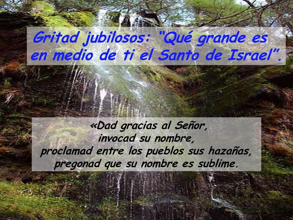 Gritad jubilosos: Qué grande es en medio de ti el Santo de Israel .