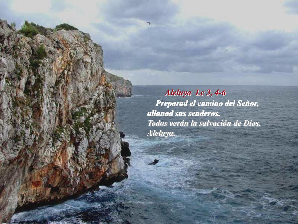 Aleluya Lc 3, 4-6 Preparad el camino del Señor, allanad sus senderos.