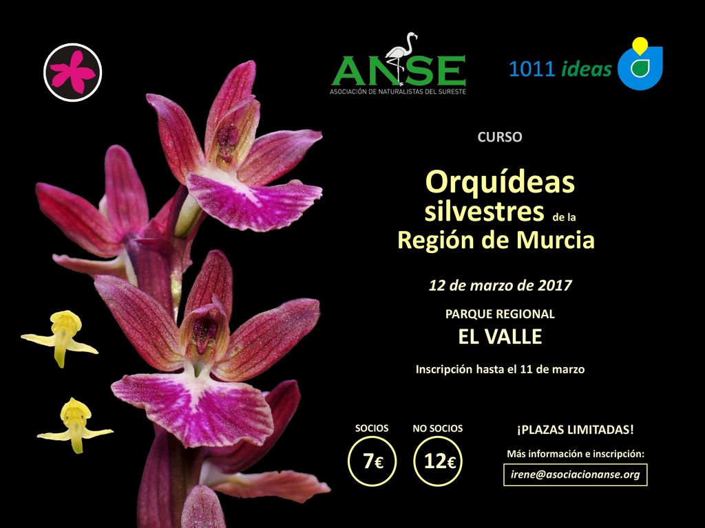 Orquídeas silvestres de la Región de Murcia 7€ 12€ 12 de marzo de 2017