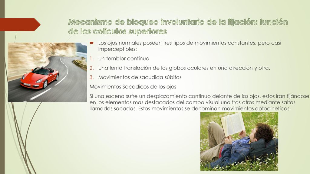 Mecanismo de bloqueo involuntario de la fijación: función de los coliculos superiores