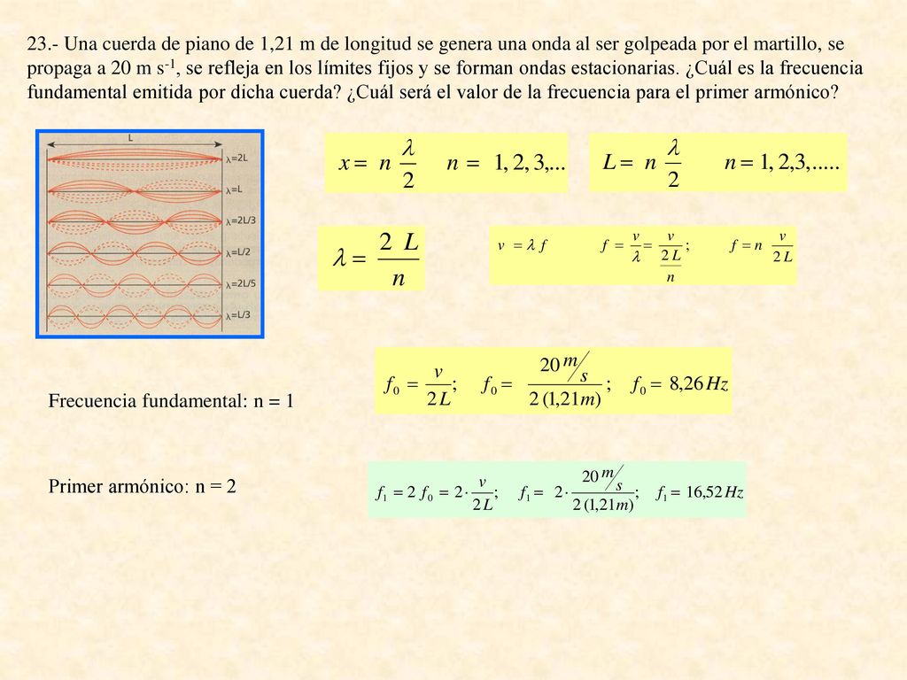 23.- Una cuerda de piano de 1,21 m de longitud se genera una onda al ser golpeada por el martillo, se propaga a 20 m s-1, se refleja en los límites fijos y se forman ondas estacionarias. ¿Cuál es la frecuencia fundamental emitida por dicha cuerda ¿Cuál será el valor de la frecuencia para el primer armónico