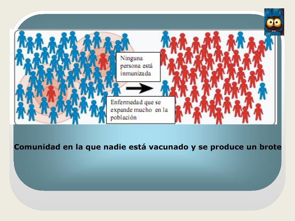 Comunidad en la que nadie está vacunado y se produce un brote